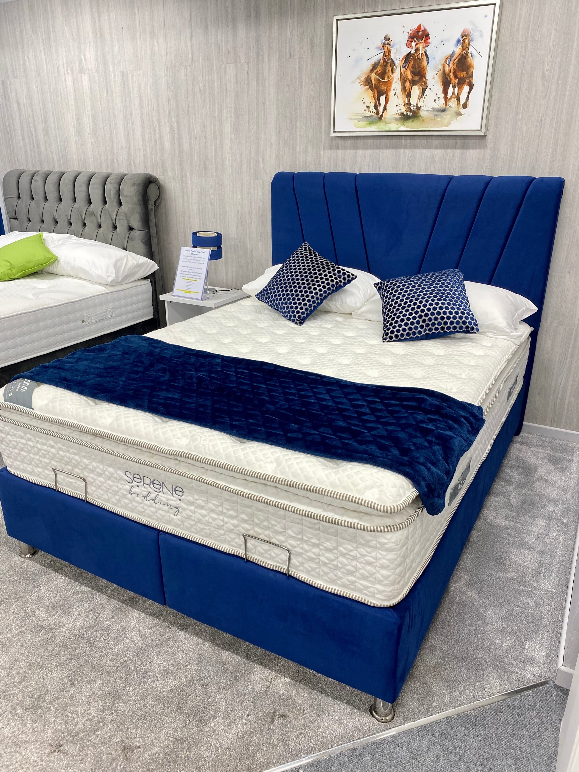 Kingsley blue gas lift storage bed