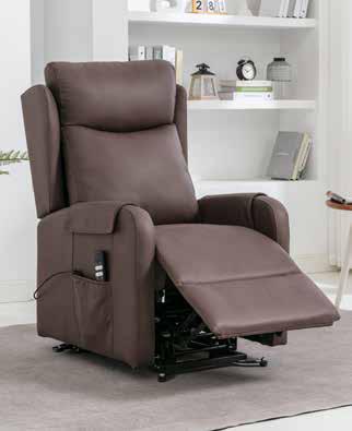 Joel Fabric Riser Recliner Chairs