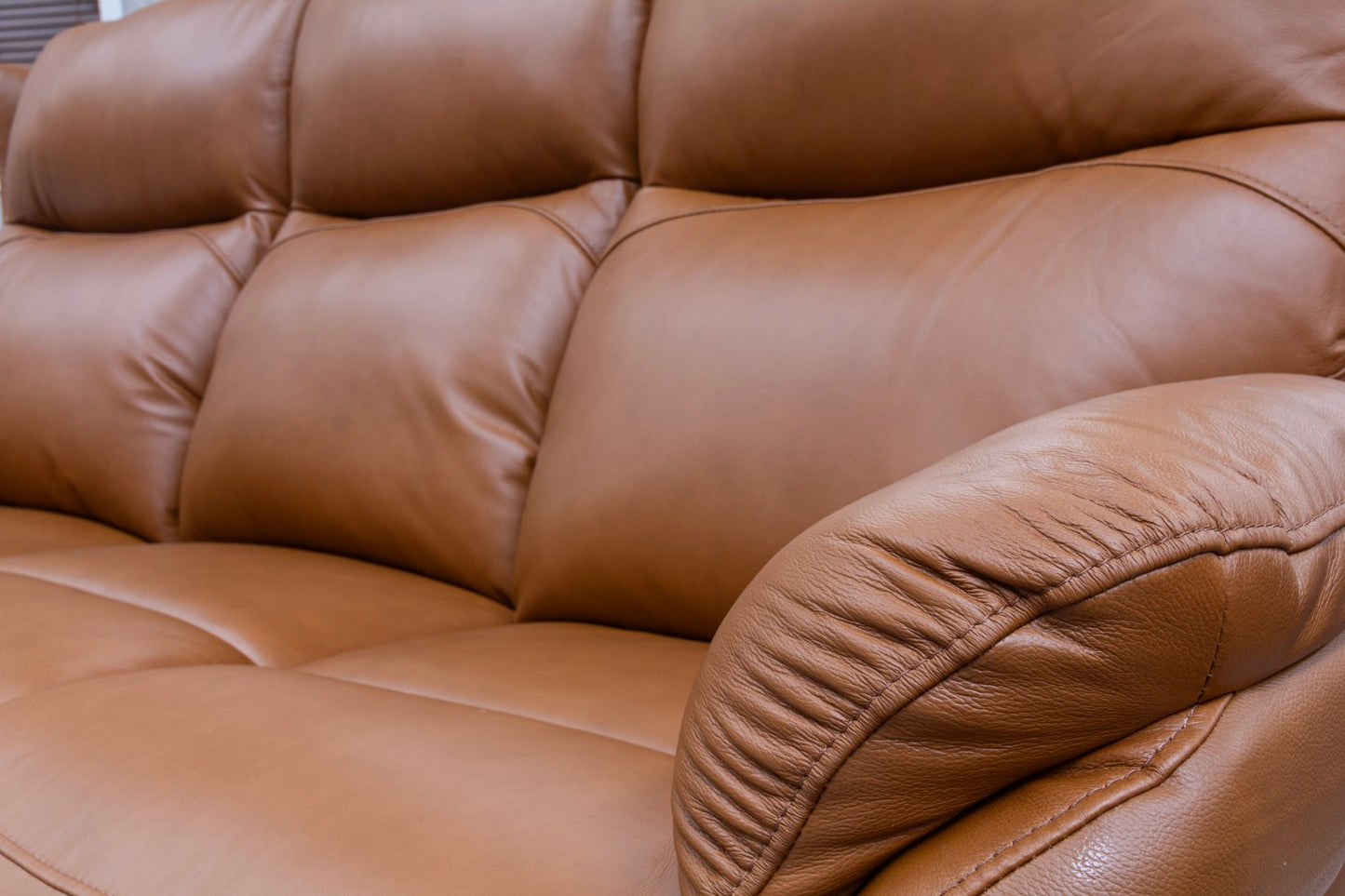 Torino Half Leather Saddle Power Reclining Sofas